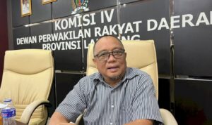 image_750x_677e517a0d37f