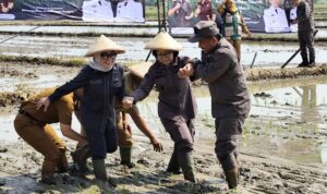 IMG-20251104-WA0059-1024x768