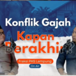 konflik gajah